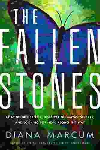 The Fallen Stones: Chasing Butterflies Discovering Mayan Secrets And Looking For Hope Along The Way