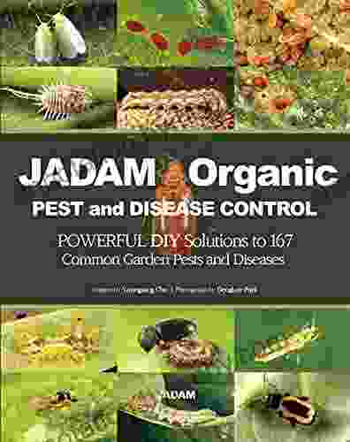 JADAM Organic PEST and DISEASE CONTROL: POWERFUL DIY Solutions to 167 Common Garden Pests and Diseases THE WAY TO INDEPENDENT FROM COMMERCIAL PESTICIDES