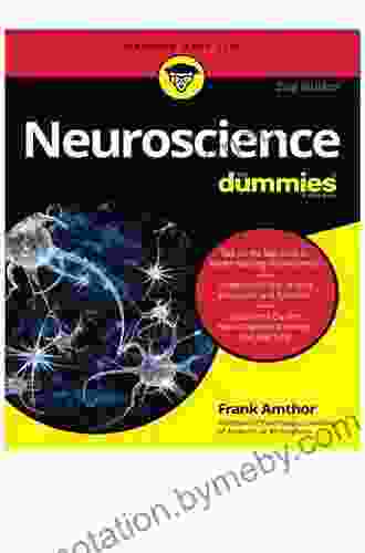 Neuroscience For Dummies Frank Amthor