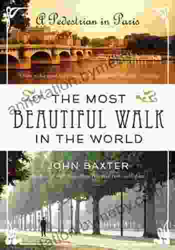 The Most Beautiful Walk In The World: A Pedestrian In Paris