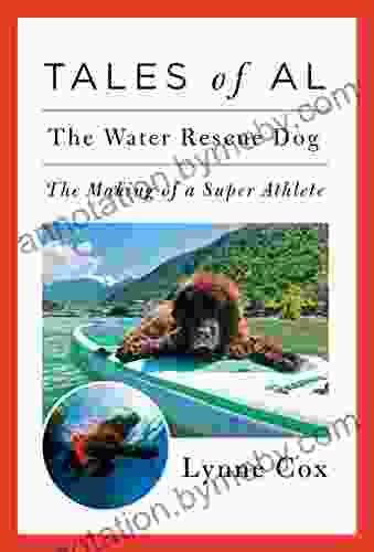 Tales Of Al: The Water Rescue Dog