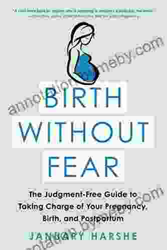 Birth Without Fear: The Judgment Free Guide To Taking Charge Of Your Pregnancy Birth And Postpartum