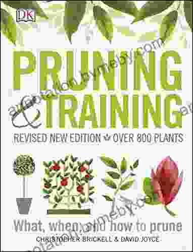 Pruning and Training DK