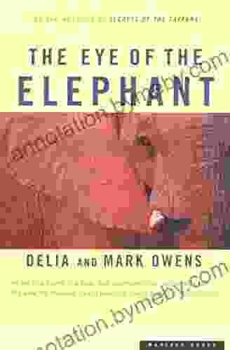 The Eye Of The Elephant: An Epic Adventure In The African Wilderness