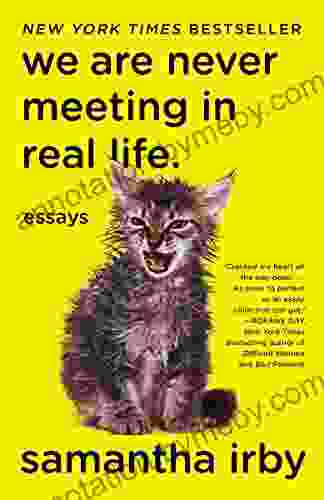 We Are Never Meeting In Real Life : Essays