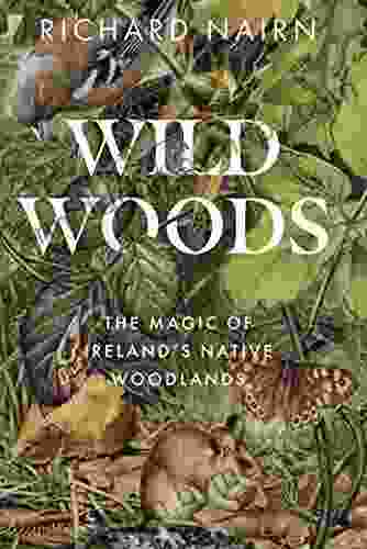 Wildwoods: The Magic Of Ireland S Native Woodlands